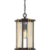 Lampa wisząca zewnętrzna Goldenrod (QZ-GOLDENROD8-M) - Elstead Lighting