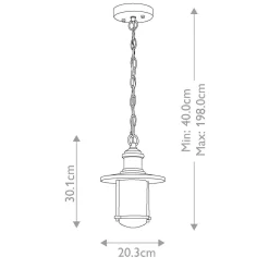 Lampa wisząca zewnętrzna Riverwood (KL-RIVERWOOD8-M) - Elstead Lighting
