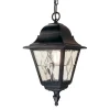 Lampa zewnętrzna, wisząca NORFOLK kol. CZARNY (NR9 BLK) - Elstead Lighting - żyrandol