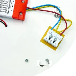 Luik gear tray 18W (61652) - Saxby