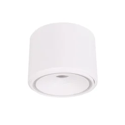 MAXLIGHT C0265 LAMPA SUFITOWA VECTOR 10W BIAŁA