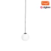 MAXLIGHT M0017Z LAMPA WISZĄCA MAGNETYCZNA SYSTEM ZIGBEE 6W 525LM 2700/5000K