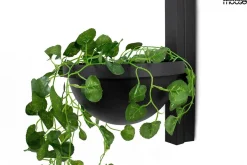 MOOSEE lampa ścienna PLANT WALL czarna (MSE010400222) - Moosee