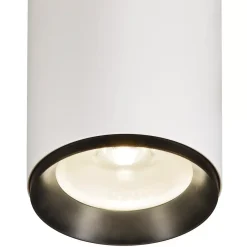 NUMINOS® DALI XL, oprawa sufitowa natynkowa biała/czarna 36 W 4000 K 60° (1005776) - SLV