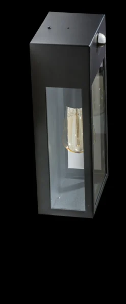 Oprawa ścienna zewnętrzna z czujnikiem ruchu NIKLAS WALL Czarny (AZ4487) - AZzardo