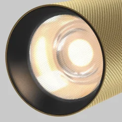 Oprawa do systemu szynowego Artisan (TR097-2-12W3K-M-BMG) - Maytoni