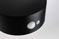 Oprawa elewacyjna EILEEN LED solar PIR 300lm 2200K IP44 czarny / tworzywo sztuczne (PL94730) - PAULMANN