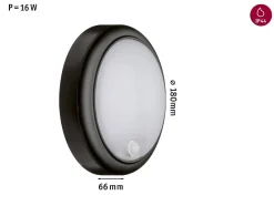 Oprawa elewacyjna IKOSEA LED 4.4W 350lm czujnik ruchu 3000K 230V antracyt / tworzywo sztuczne (PL94187) - PAULMANN