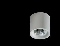 Oprawa natynkowa MANE 30W DIMM WH (AZ4330) - Azzardo