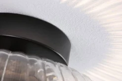 Oprawa sufitowa łazienkowa RUYA E27 max.60W IP44 230V czarny matowy / szkło (PL71146) - PAULMANN