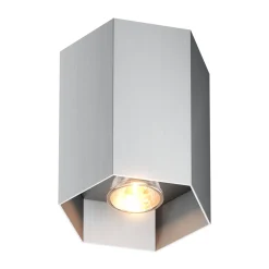 Oprawa sufitowa POLYGON CL 1L SPOT ALU (20067-AL) - Zuma Line