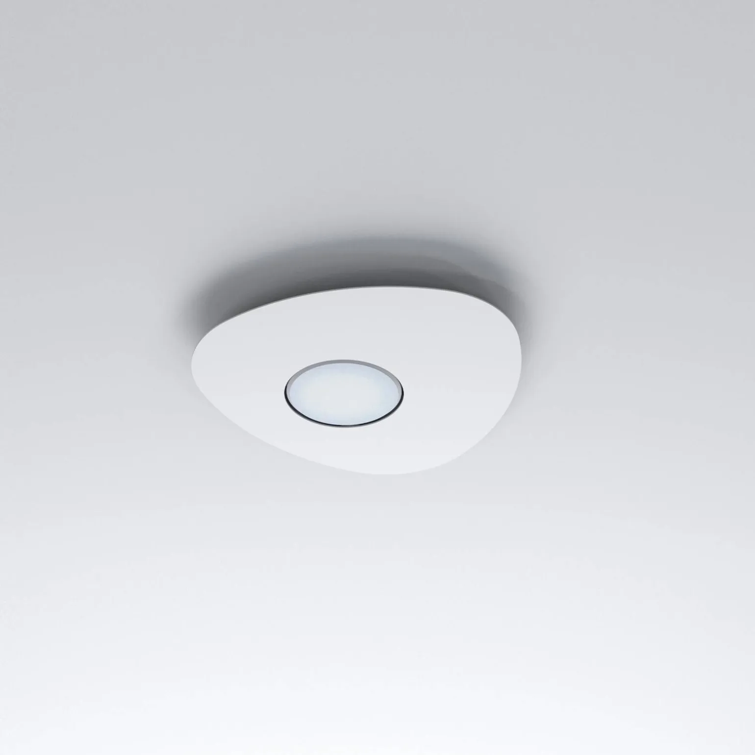 ORGANIC (8305) - Nowodvorski