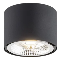 Plafon 1 pł. CLEVLAND (4691 BZ) - Argon