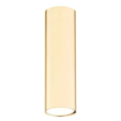 Plafon 1 pł. TYBER PLUS (4761) - Argon