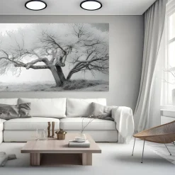 Plafon MAQ 24W 3CCT Czarny (ML0439) - Milagro