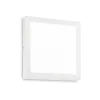 Plafon UNIVERSAL Biały (UNIVERSAL_PL_D30_SQUARE_3000K) - Ideal Lux