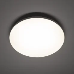 Plafon wewnętrzny z czujnikiem ruchu DENIA LED M SENSOR (11762) - Nowodvorski