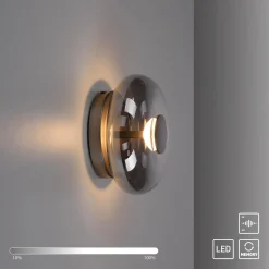 POSH KINKIET/LAMPA SUFITOWA SZARA (15696-15) - Paul Neuhaus