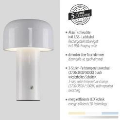 Przenośna, ładowalna lampa AGNES biała (19190-16) - Paul Neuhaus