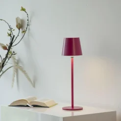 Przenośna, ładowana lampa stołowa BOTERIA RÓŻOWY (19251-87) - Paul Neuhaus
