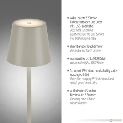 Przenośna LAMPA STOŁOWA USB EURIA SZARA (19250-40) - Paul Neuhaus