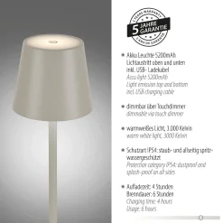 Przenośna LAMPA STOŁOWA USB EURIA SZARA (19250-40) - Paul Neuhaus