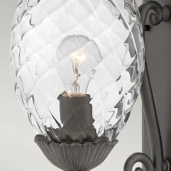 Średnia latarnia naścienna Plantation - 1 źródło światła - Czarna (HK-PLANTATION-M-MB) - Hinkley