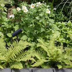 Reflektor Myos Czarny (1426002) - Astro Lighting