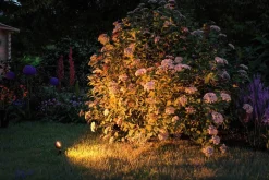 Reflektor ogrodowy Plug & Shine STING zestaw kompletny 3x6W 3000K 520lm DIM IP67 24V antracyt / aluminum (PL93696) - PAULMANN