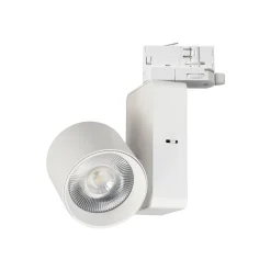 Reflektor Ojo 25W 2700/4000K Biały 3 Obwodowy (ML1106) - Milagro