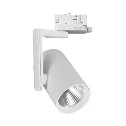 Reflektor Timor 30W 2700/4000K Biały 3 Obwodowy (ML1116) - Milagro