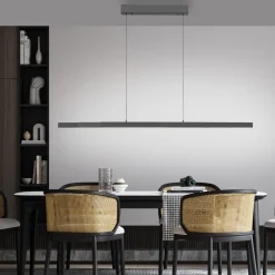 Rozsuwana i regulowana lampa wisząca ADRIANA COMFORT LIFT ANTRACYT (2598-13) - Paul Neuhaus