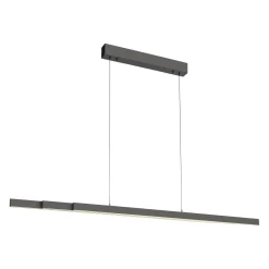 Rozsuwana i regulowana lampa wisząca ADRIANA COMFORT LIFT ANTRACYT (2598-13) - Paul Neuhaus