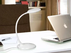 Scoop lampa stołowa 1 L (552758) - Schuller