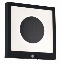 Solar panel Taija IP44 3000K 120lm czujnik ruchu Antracyt (PL94263) - PAULMANN