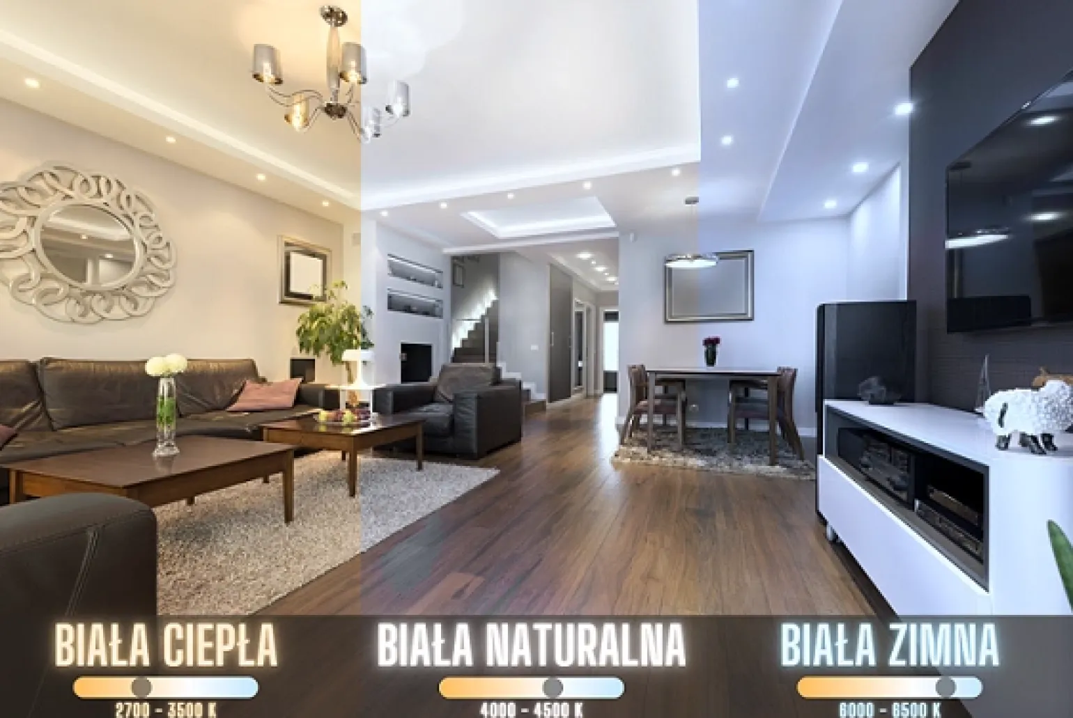 taśma LED Pro Line 25M 12W/mb barwa ciepła (BLAUPUNKT-TL12WW-P)