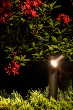 TUBINGS (8158) - Nowodvorski