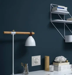 WBS-62 Moduł czarny głośnika bluetooth Livolo