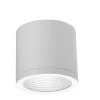 Zewnętrzna lampa sufitowa CONYON IP54 25W CCT SWITCH Biały (AZ6030) - Azzardo