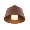Zewnętrzna oprawa sufitowa PHOTONI kolor rdzy (1007582) - SLV